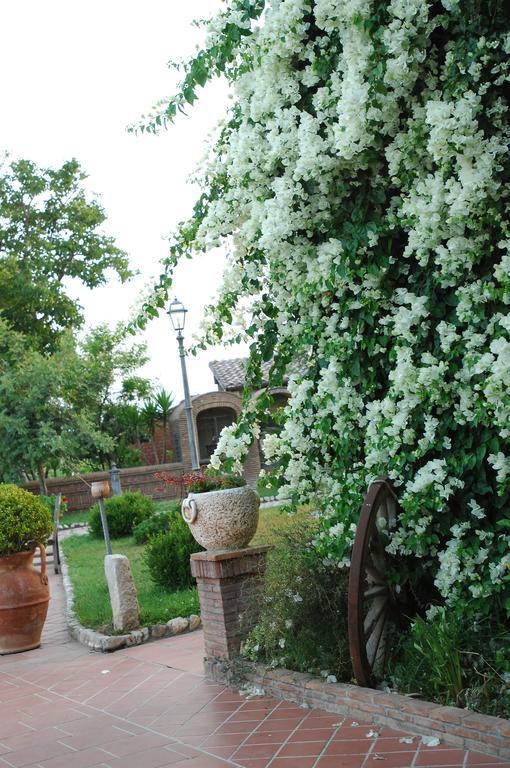 Tenuta Sciacca Villa Falciano del Massico Екстериор снимка