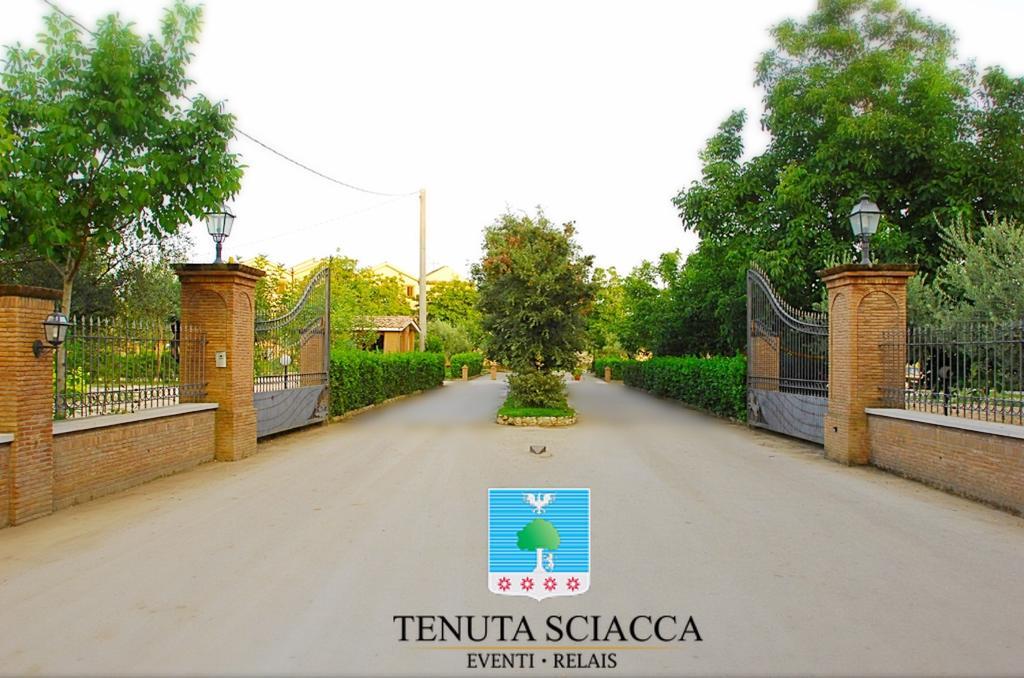 Tenuta Sciacca Villa Falciano del Massico Екстериор снимка