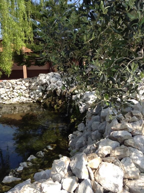 Tenuta Sciacca Villa Falciano del Massico Екстериор снимка